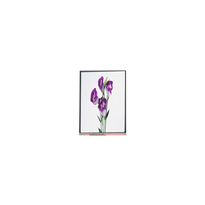 C057SWR1-1 5,7 pollici 720*1440 LCD Screen Panel per telefono
