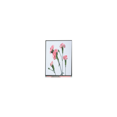 C060SWA3-3 Display LCD da 6,0 pollici 720*1280 per telefono