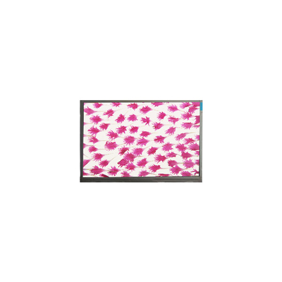 9.0 pollici 800*480 LCD Display E090SWP1 R2 pannello LCD