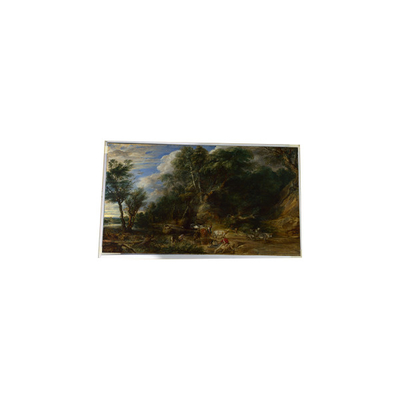LTM340YP03-Q04 34,0 pollici 3440*1440 schermo TFT-LCD