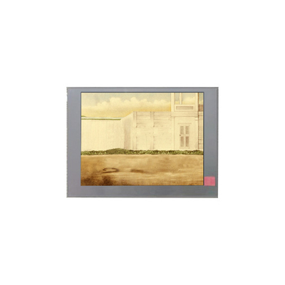 TM060JDZG01 Display LCD da 6,0 pollici per dispositivi portatili e PDA
