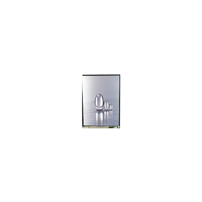 LS038Y7DX01 3,8 pollici 480*800 schermo LCD