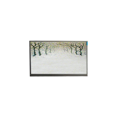 R125NWR3 R3 modulo LCD da 12,5 pollici 1366*768 schermo LCD