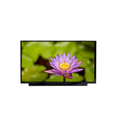NV140FHM-T09 14,0 pollici 1920*1080 schermo LCD per laptop