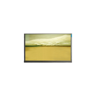 21.5 pollici M215HJK-L3B LCD Screen Panel 1920*1080 LCD Display