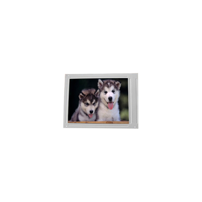 F055A13-6T1 Display LCD da 5,5 pollici 720*1280