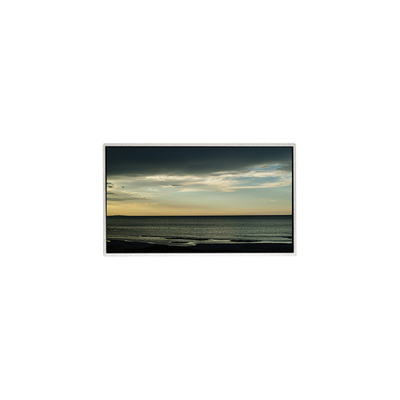 TT101WSB-NW0 Pannello LCD 10,1 pollici 1024*600 Display LCD