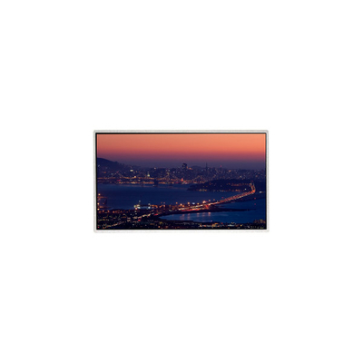 TT070WSB-NW1 7.0 pollici 1024*600 TFT LCD Display Panel