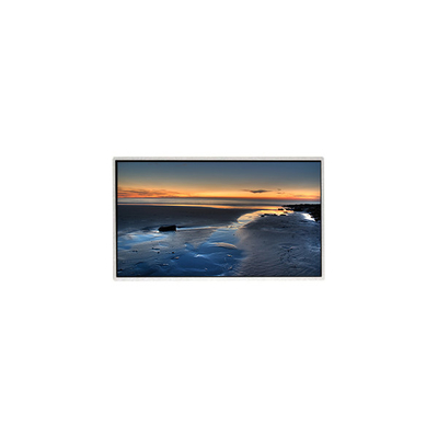 TT090WSQ-N10 9,0 pollici 1024*600 LCD Display Panel