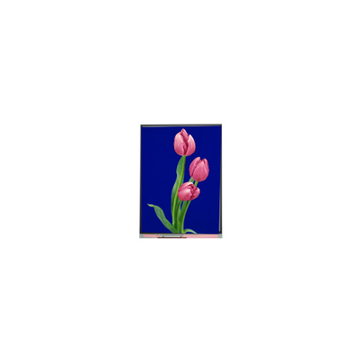 C055SWF4 R0 Modulo LCD Display LCD TFT da 5,5 pollici