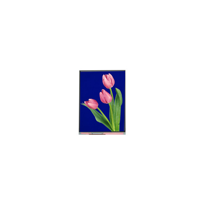 Nuovo schermo LCD da 5,4 pollici C054SWZ4-1 540*960
