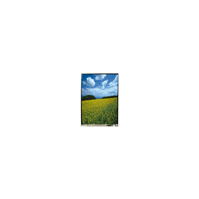 LS054T3SX01A Modulo LCD TFT originale da 5,4 pollici MIPI Interfaccia 1080 * 1920
