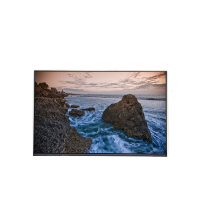 M195XTN01.0 CELL 19.5 pollici 1366*768 pannello LCD modulo TFT