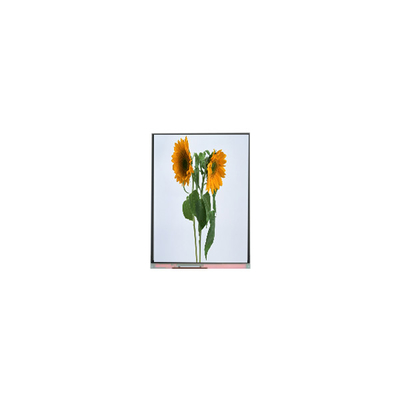 9.0 pollici IVO pannello LCD C090SWT3-0 1024*600 moduli LCD
