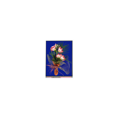 5.4 pollici pannello LCD 540*960 C054SWN1-1 modulo LCD