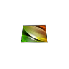5.3 pollici HSD053B8W1-B00 Modulo LCD TFT per telefono cellulare