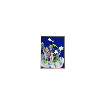 C054SWN1 R0 tft LCD Screen Display pannello LCD da 5,4 pollici