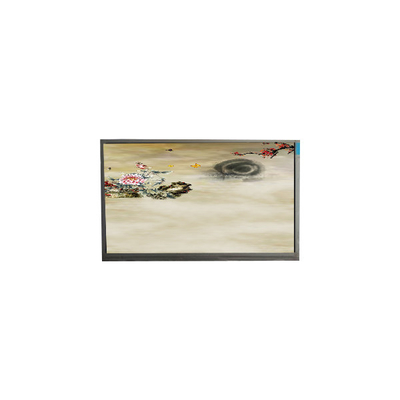 P236MWF2 R0 23.6 pollici 1920*1080 schermo TFT-LCD