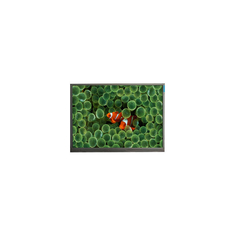 AT080TN62 V.1 Schermo LCD da 8,0 pollici 800*480 Display LCD 60Hz