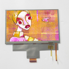 LMS700KF23 7,0 pollici 40 pin LCD Display 800*480 schermo LCD