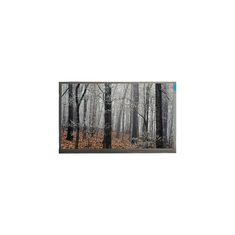 MT200LW01 V.0 20,0 pollici 30 pin display LCD