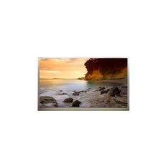 S201P1 20,1 pollici 1400*1050 schermo LCD 60Hz schermo LCD
