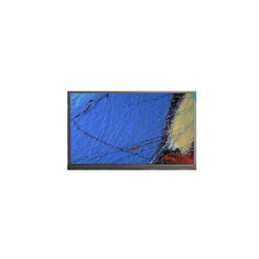 Nuovo pannello LCD da 7,0 pollici 480*234 F07020-01D