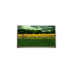 15.6 pollici N156B3-L01 1366*768 schermo LCD a 60Hz in magazzino