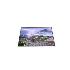 LP156WH2-TLB1 15,6 pollici 1366*768 220 cd/m Modulo LCD