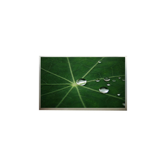 15.4 pollici N154I6-L03 Display LCD 1280*800