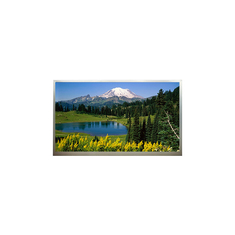18.4 pollici 1920*1080 Display LCD N184H4-L04