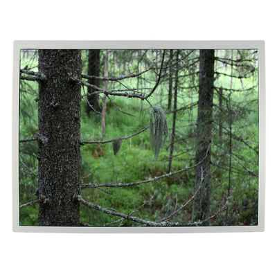 Buon prezzo Visualizzazione LCD industriale a 12,1 pollici LQ121S1LG79 TFT dell'affissione a cristalli liquidi 82ppi in linea