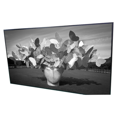Buon prezzo 1920*1080 quadro comandi LCD a 42,0 pollici del contrassegno dello schermo P420HVN01.0 Digital in linea