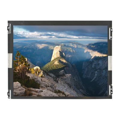 Buon prezzo PANNELLO LCD a 12,1 pollici dello schermo di visualizzazione TT121S0M-NW0 800*600 in linea