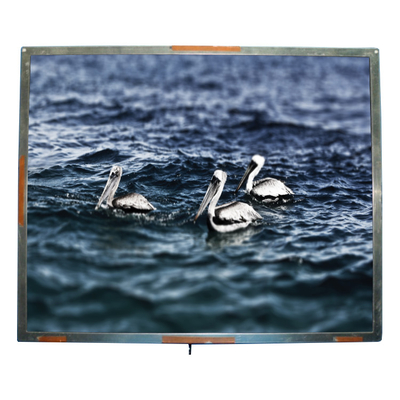 Buon prezzo Pannello a 18,1 pollici dello schermo del modello 1280*1024 TFT LCD di CMO R181E2-L01 in linea