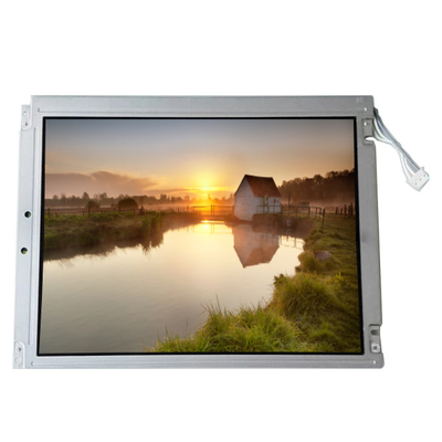 Buon prezzo NL8060BC26-05 96PPI schermo LCD in linea