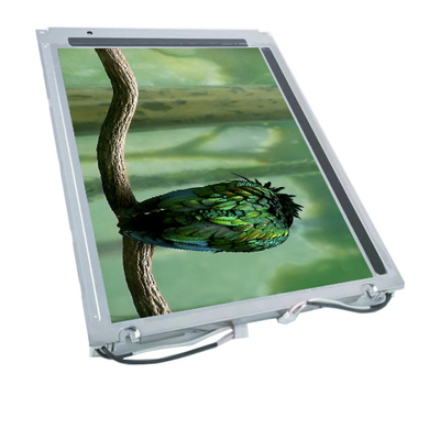 Buon prezzo LQ12S41 12,1 pollici 800*600 Industrial TFT LCD Screen Display in linea