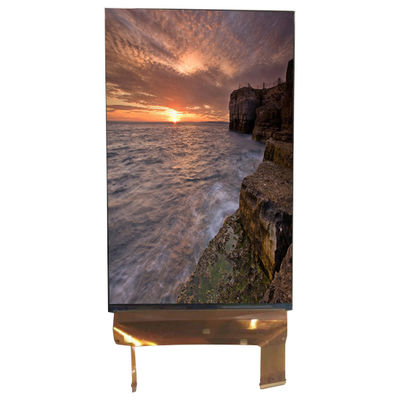 Buon prezzo LQ070M1SX01 7,0 pollici schermo 1200*1920 LCD Monitor 71 pin in linea