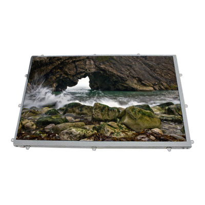 Buon prezzo LQ101K1LY02 10,1 pollici 1208*800 LCD Display Pannello LCD in linea