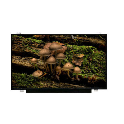 Buon prezzo LQ173D1JW32 3840*2160 17,3 pollici schermo LCD in linea