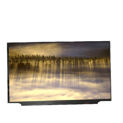 Buon prezzo Nuovo pannello LCD B173HAN05.0 RGB 1920*1080 Frequenza 240Hz in linea