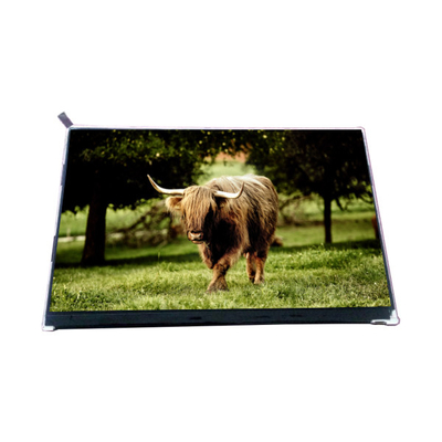 Buon prezzo VVX10F002A90 10,1 pollici 1000: 1 pannello LCD in linea
