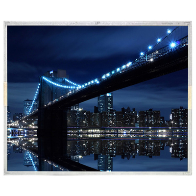 Buon prezzo LB209F1-A1DM 20,9 pollici 2048*2560 LCD Screen Module in linea