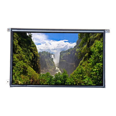 Buon prezzo LTM09C362S 8.9 pollici 1024*600 TFT-LCD Screen Panel in linea
