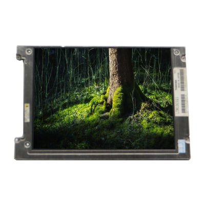 Buon prezzo LTM10C021K 10,4 pollici 640*480 TFT-LCD Screen Panel VGA 76PPI in linea