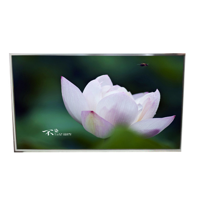 Buon prezzo LD490EQG-FPA3 49.0 Inch 3840*2160 Resolution LCD Screen Panel per segnaletica digitale in linea