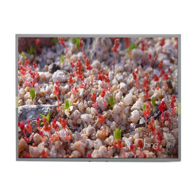 Buon prezzo LM2011-SLWE01 Original 20,1 pollici 1680*1050 schermo LCD in linea