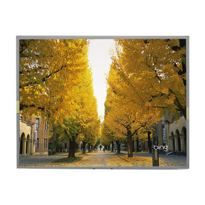 Buon prezzo LM2013-WETLB1 20,1 pollici schermo LCD Display LCD 1680*1050 in linea