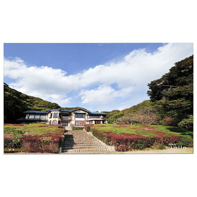 Buon prezzo LM215WFA-SSE1 Touch LCD Screen 1920*1080 FHD Per Lenovo 01AG987 in linea