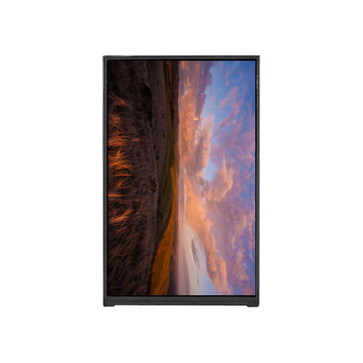 Buon prezzo BP096WX1-100 9,6 pollici schermo LCD LCD Display MODULO in linea